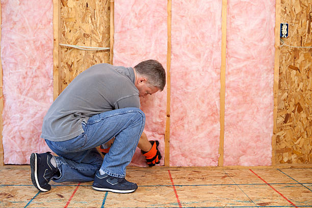 Best Insulation for Specific Applications in Scotland Neck, NC