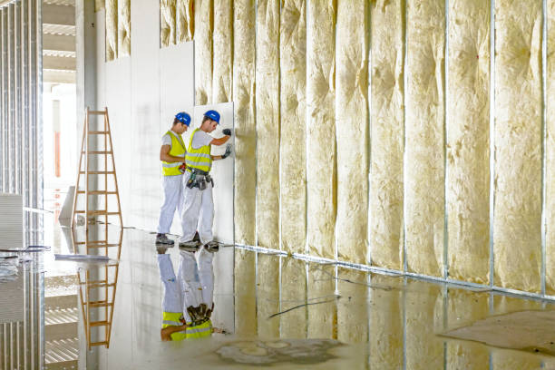 Best Types of Insulation in Scotland Neck, NC